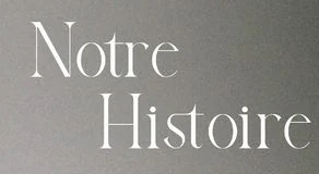 High-contrast serif