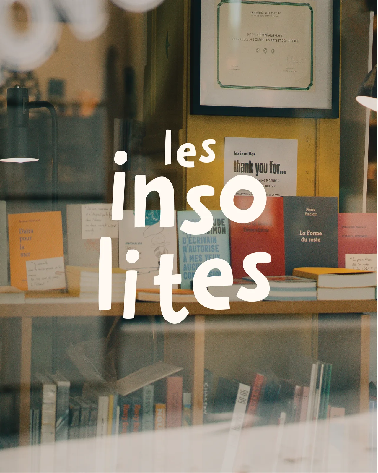 The les insolites logotype in white over the shop’s bookshelves